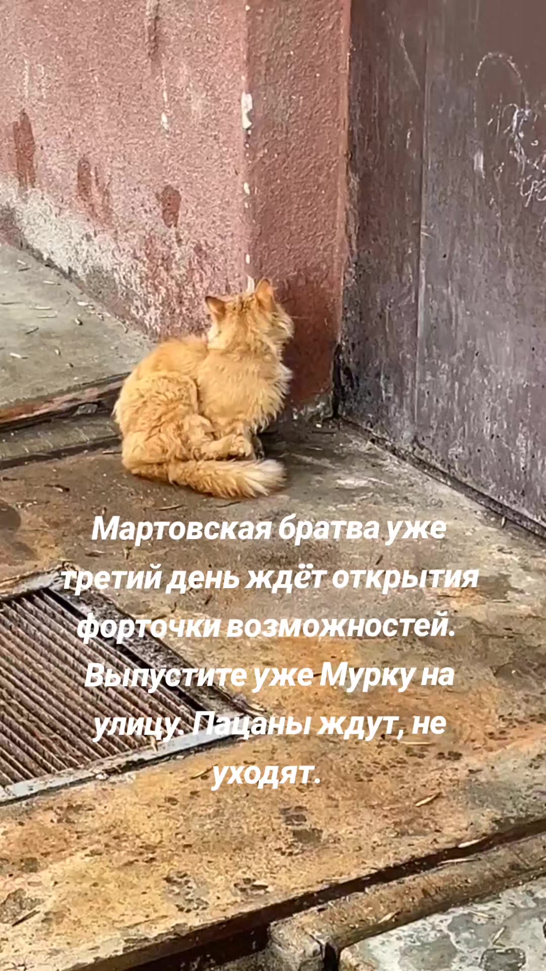 @vikalisa05