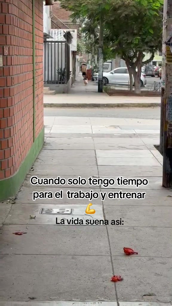 @Thor y Linda 🐾🐕❤️