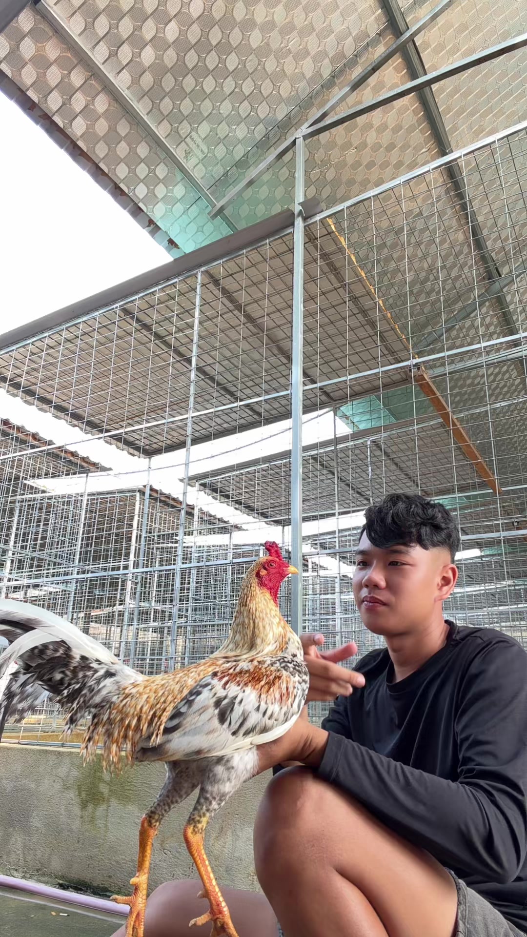 @Thông Lê