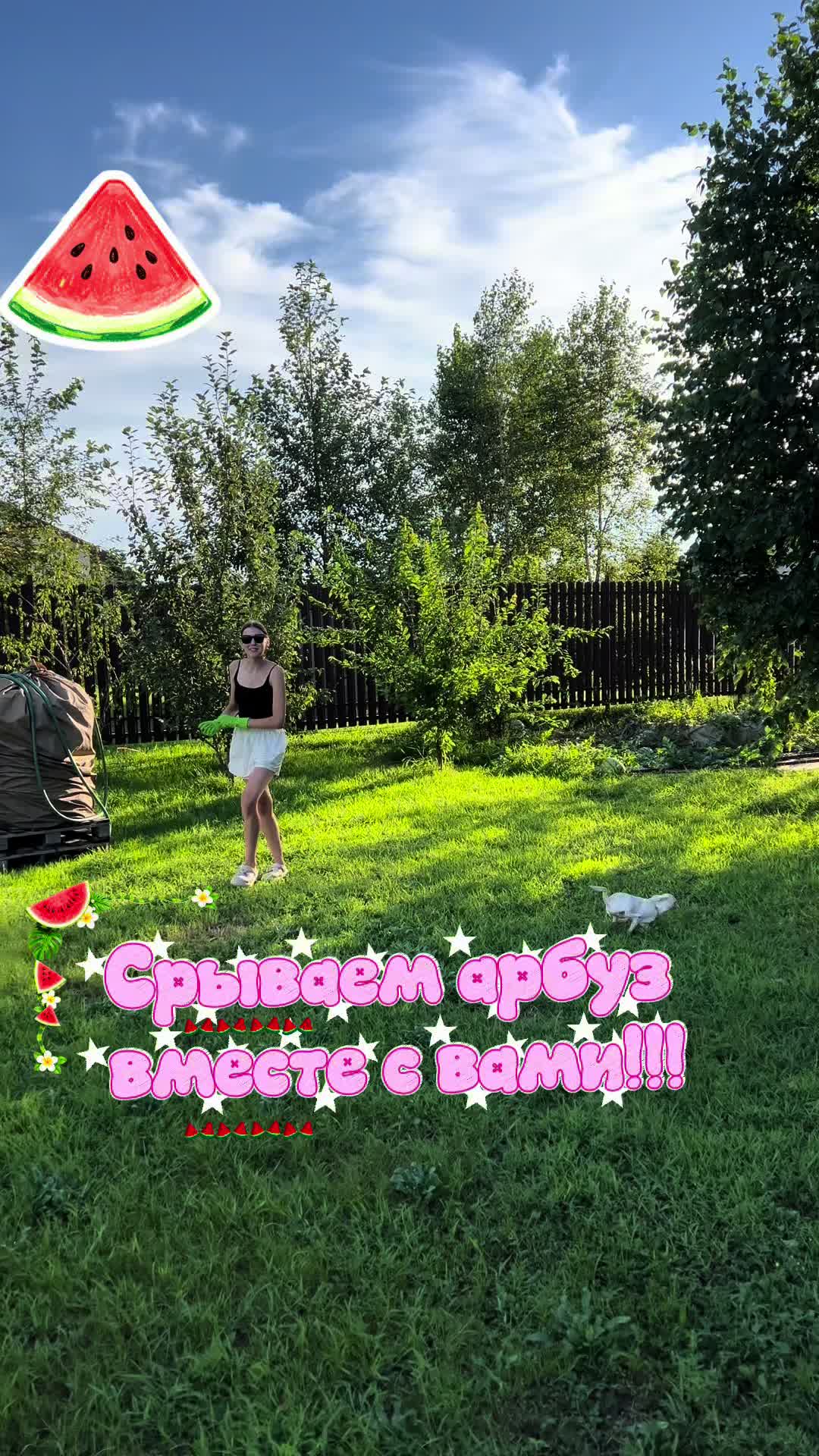 @тгк:Nikaa