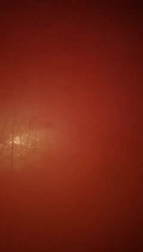 @ℬ𝓇𝒾𝒶𝓃𝒶𝒶