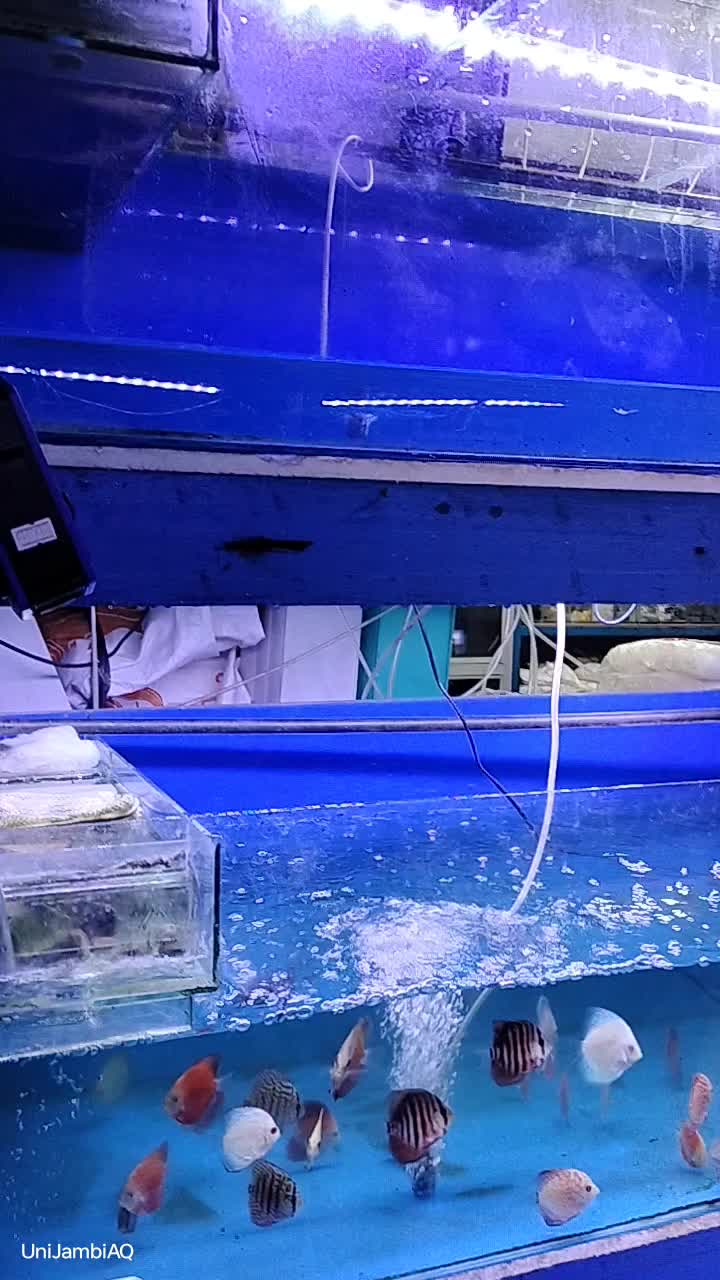 @UniJambi_Aquarium