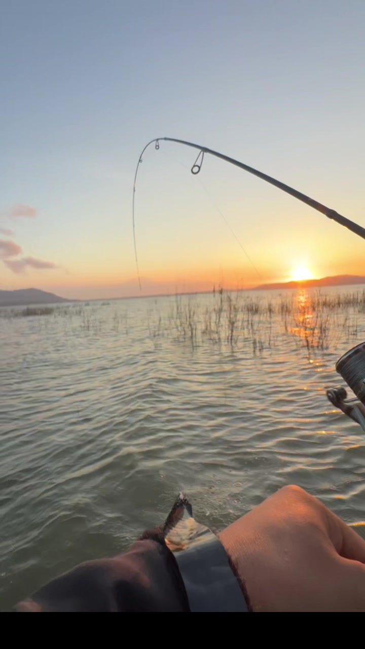 @unclemancing