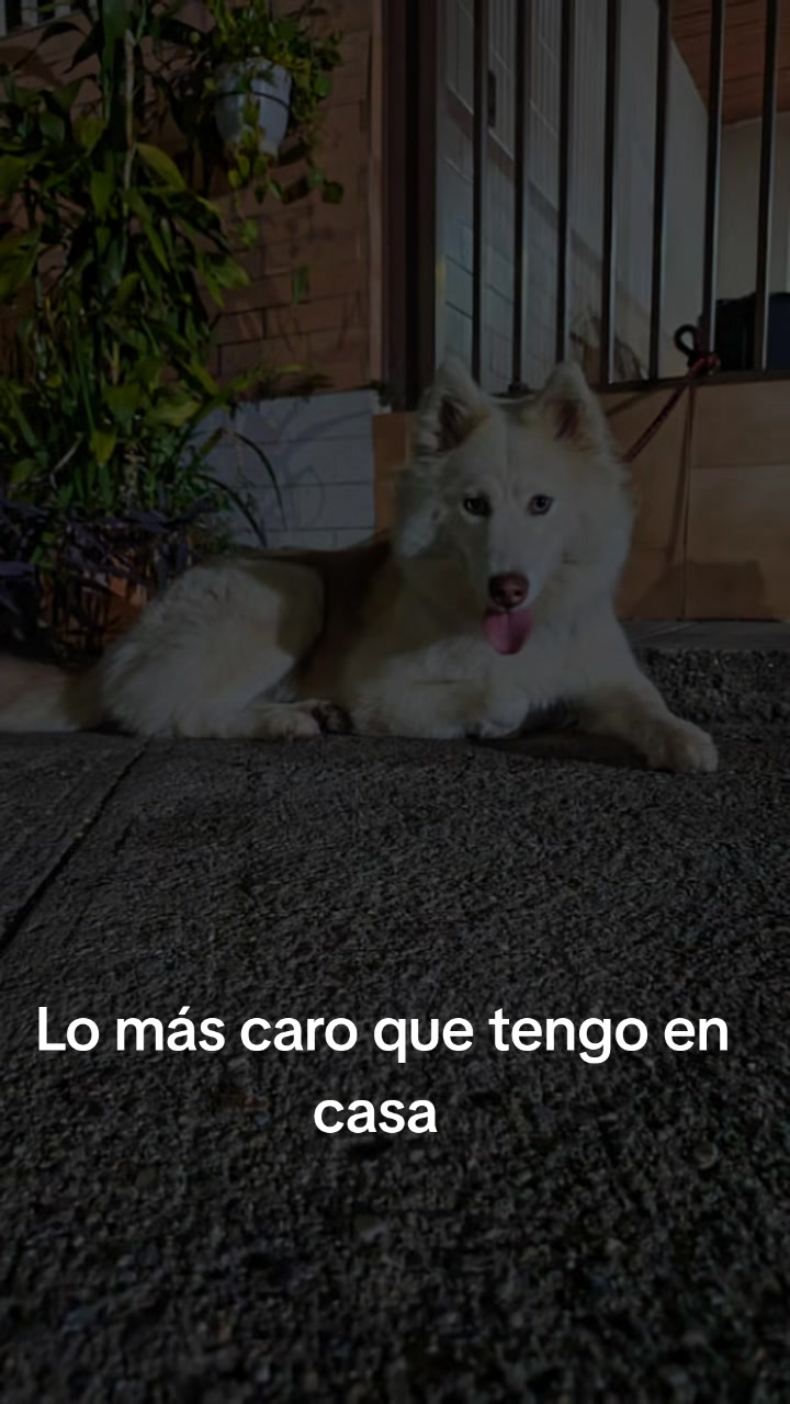 @Marco Olivares