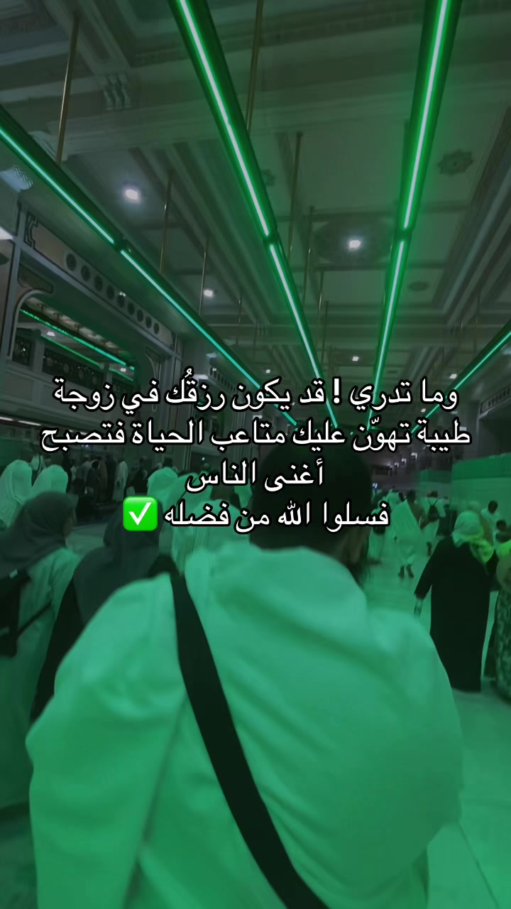 @نورالدين (أبو آمنه و عبد الله)