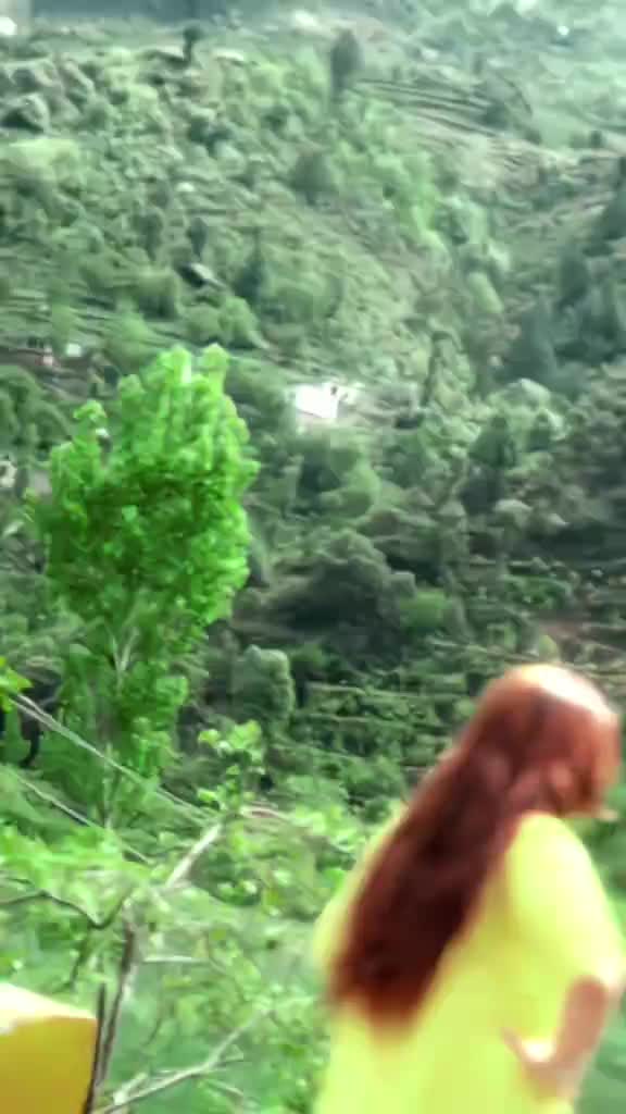 @🦅 تورہ جینئ🦅
