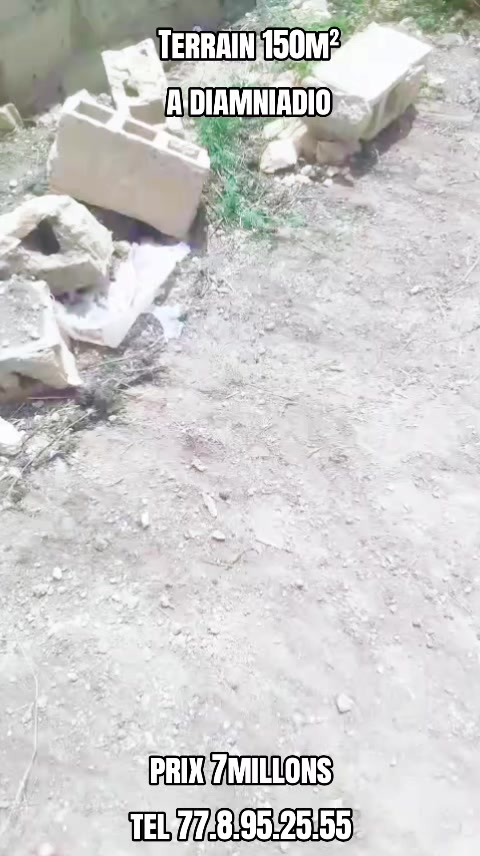 @S&eacute;n&eacute;gal dakar habitat 🇸🇳