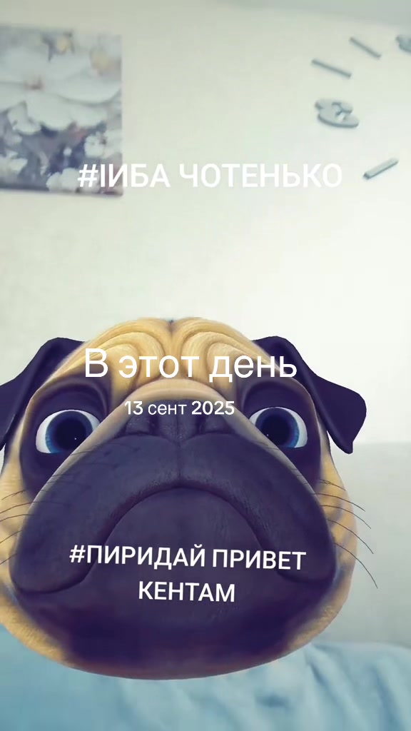 @Пiнгор авито #цигарка🧟♂️