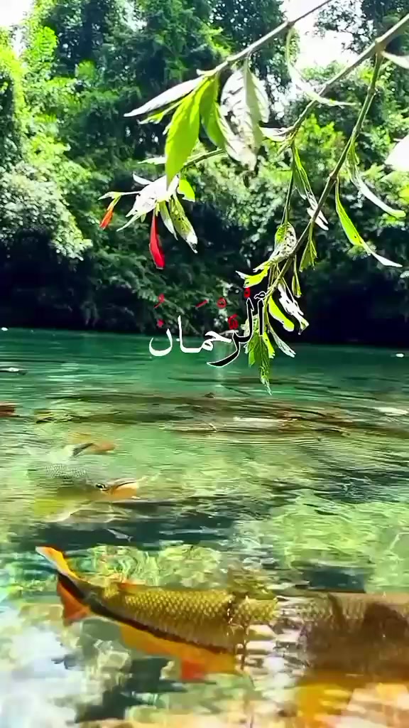 @🇲 🇺 🇸 🇦 🇼 🇦 🇷 𝑴.😍.P