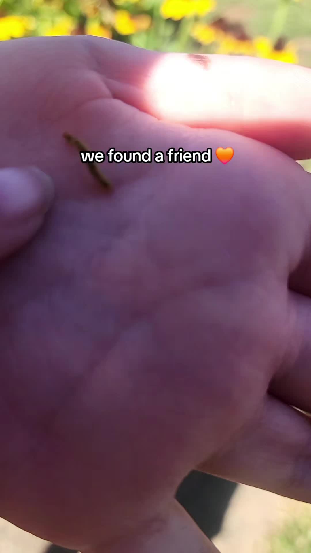 @Nicole 🧡 SAHM
