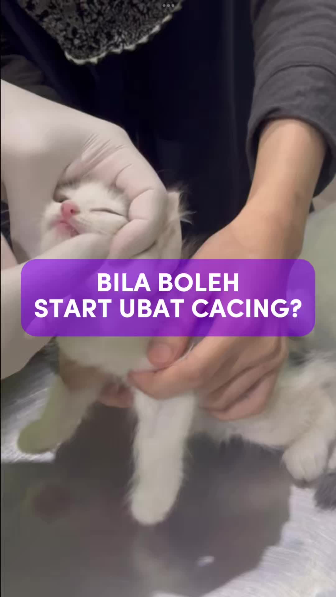 @Tuahvet