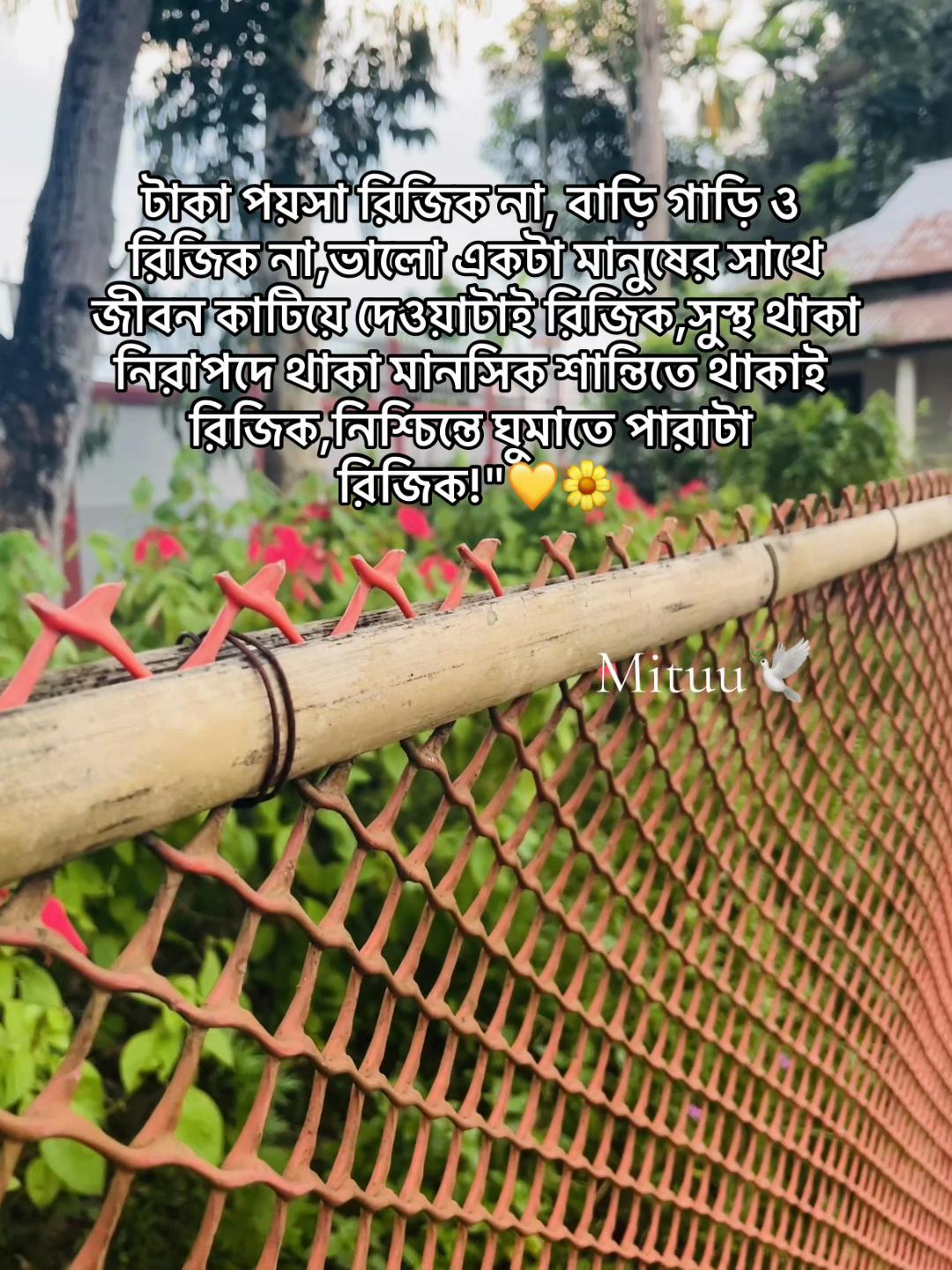 @Mituuđī¸đ