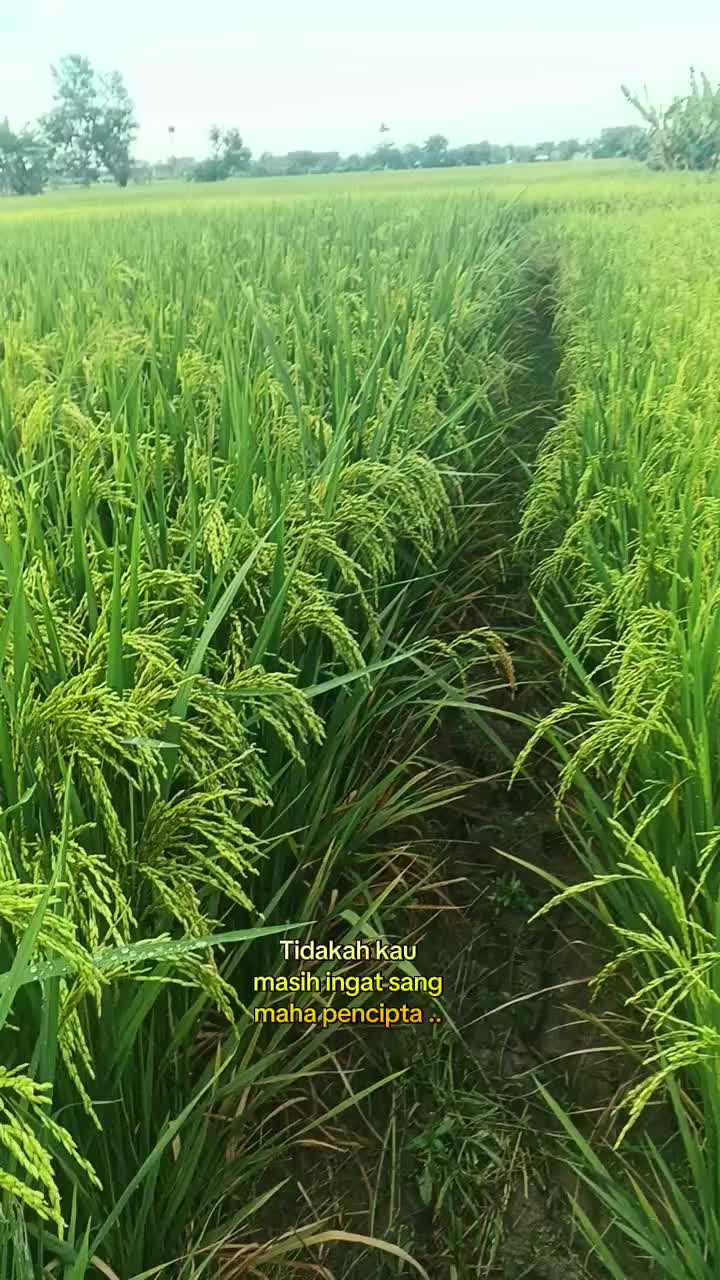 @Agk88