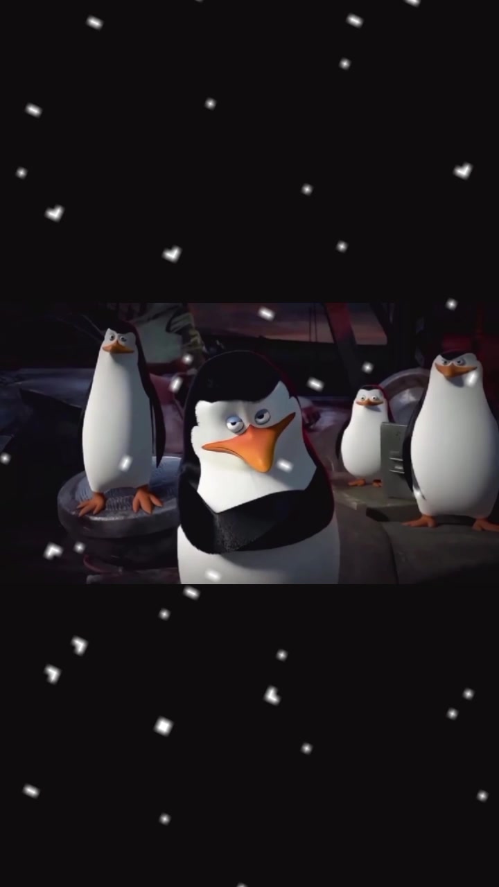 @torguga@2228183393929282821992
