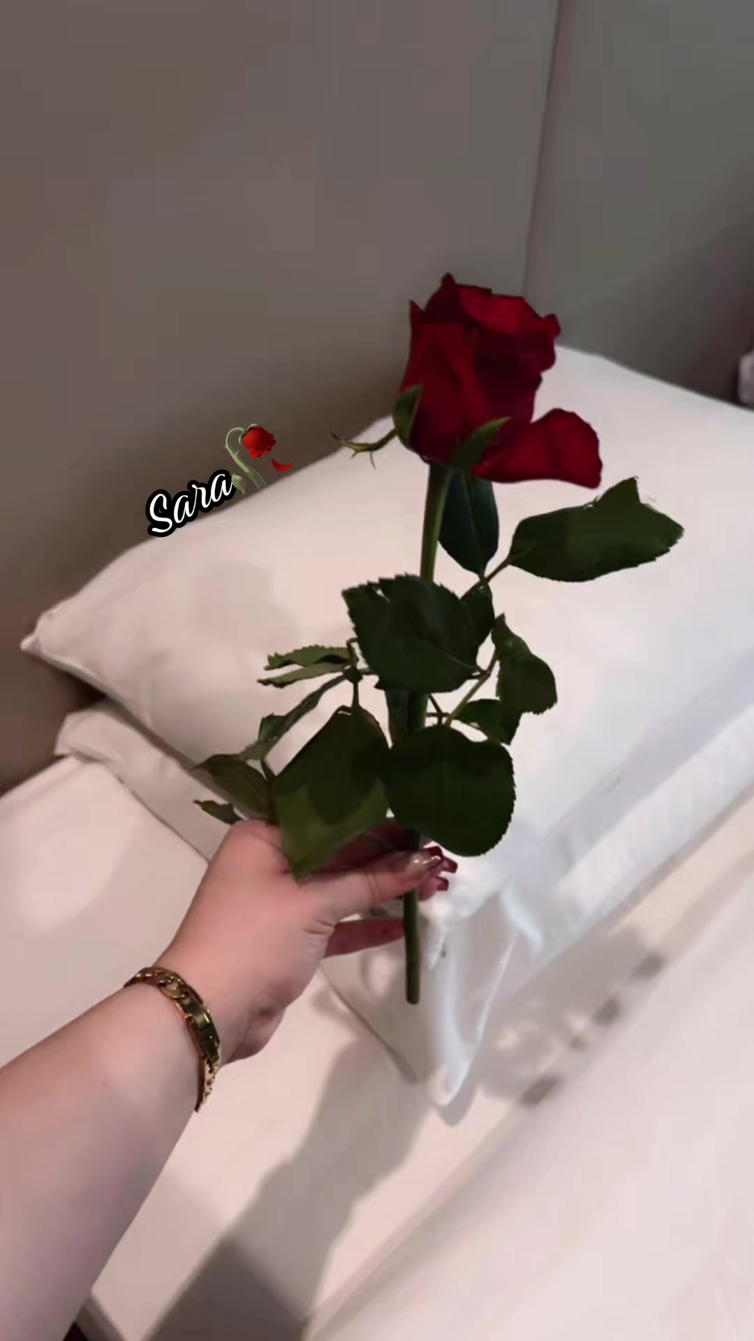 @saramer47