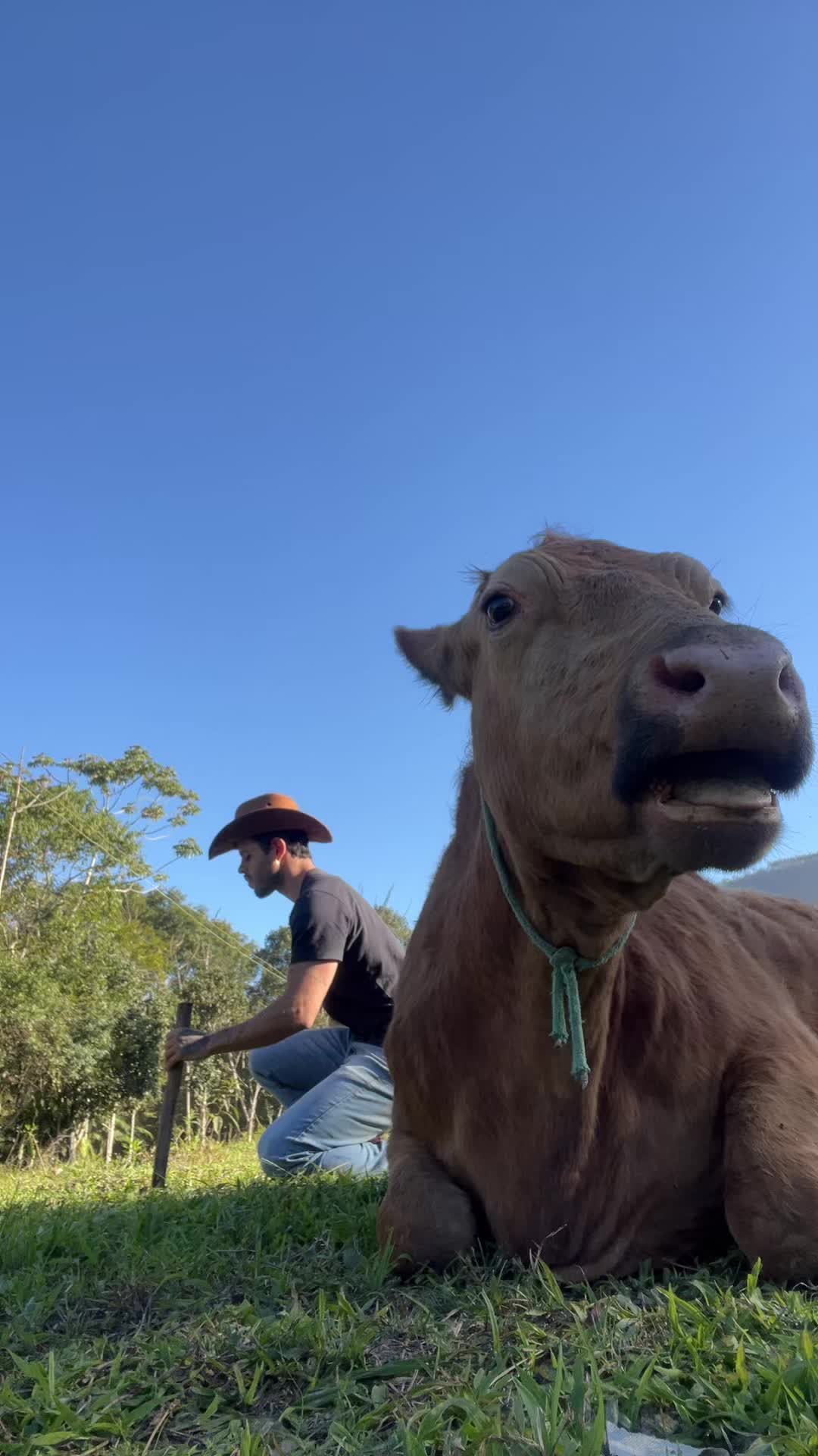 @Joab Salema 🤠