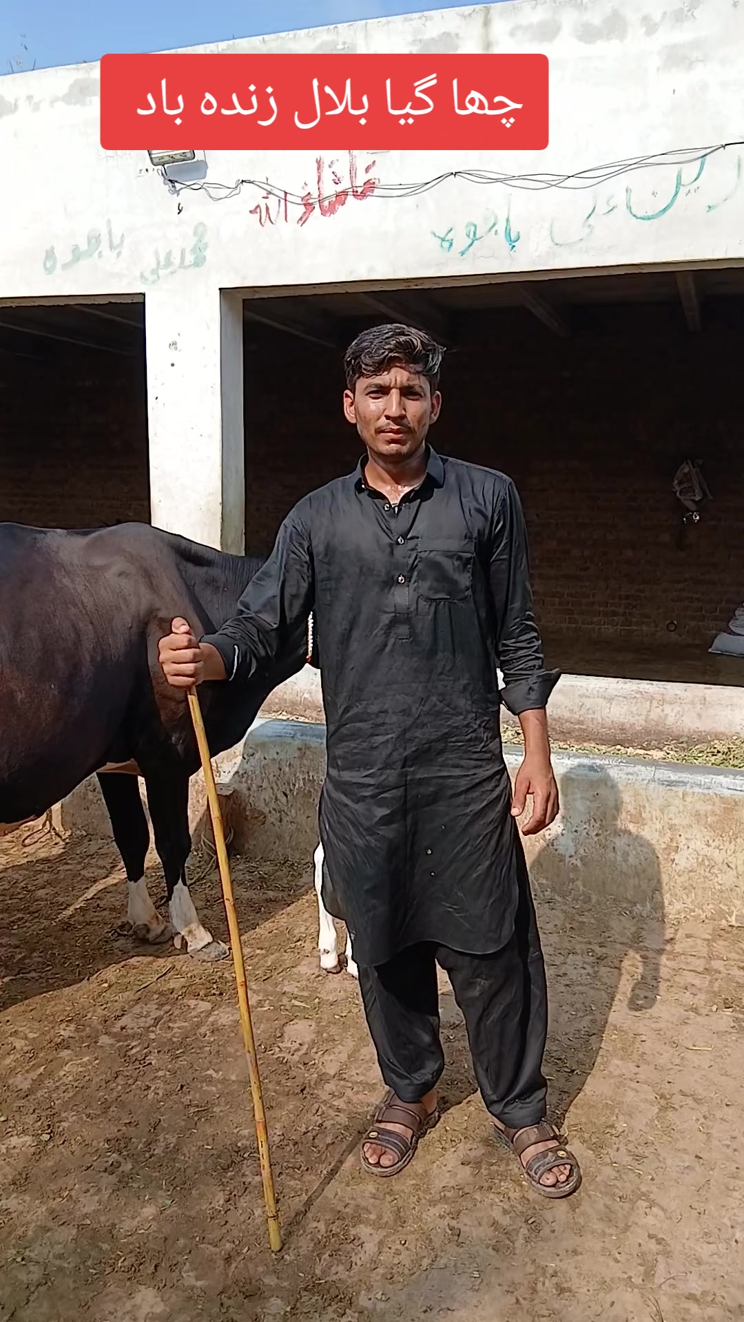 @Farming and Business Ideas
