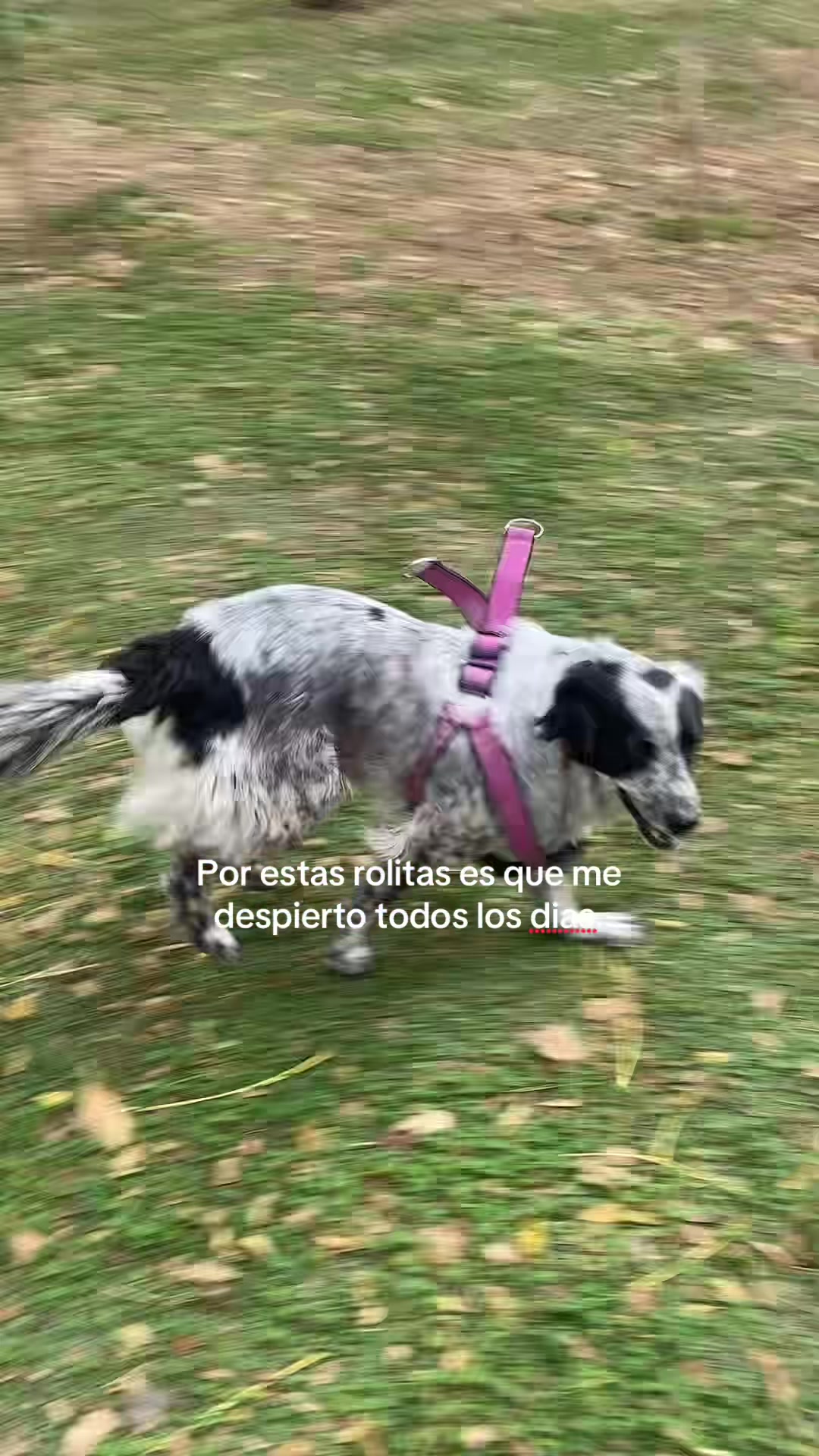 @canciónes que no conocias