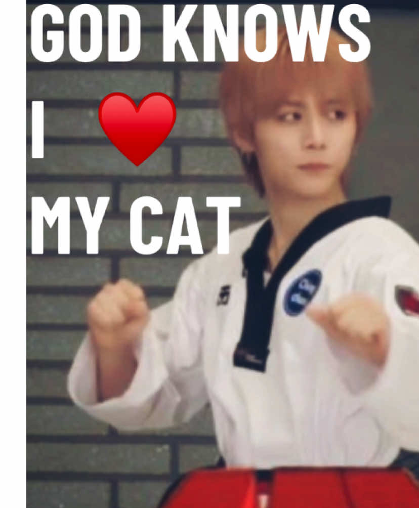 @Cat