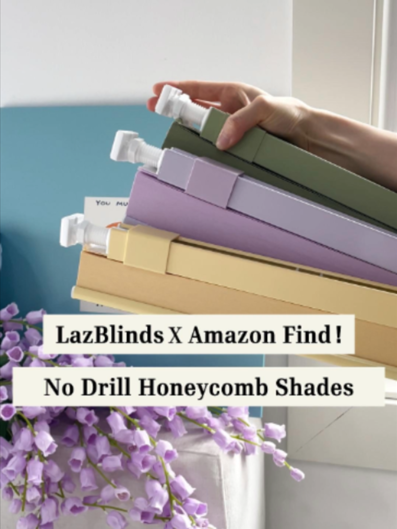 @LazBlinds
