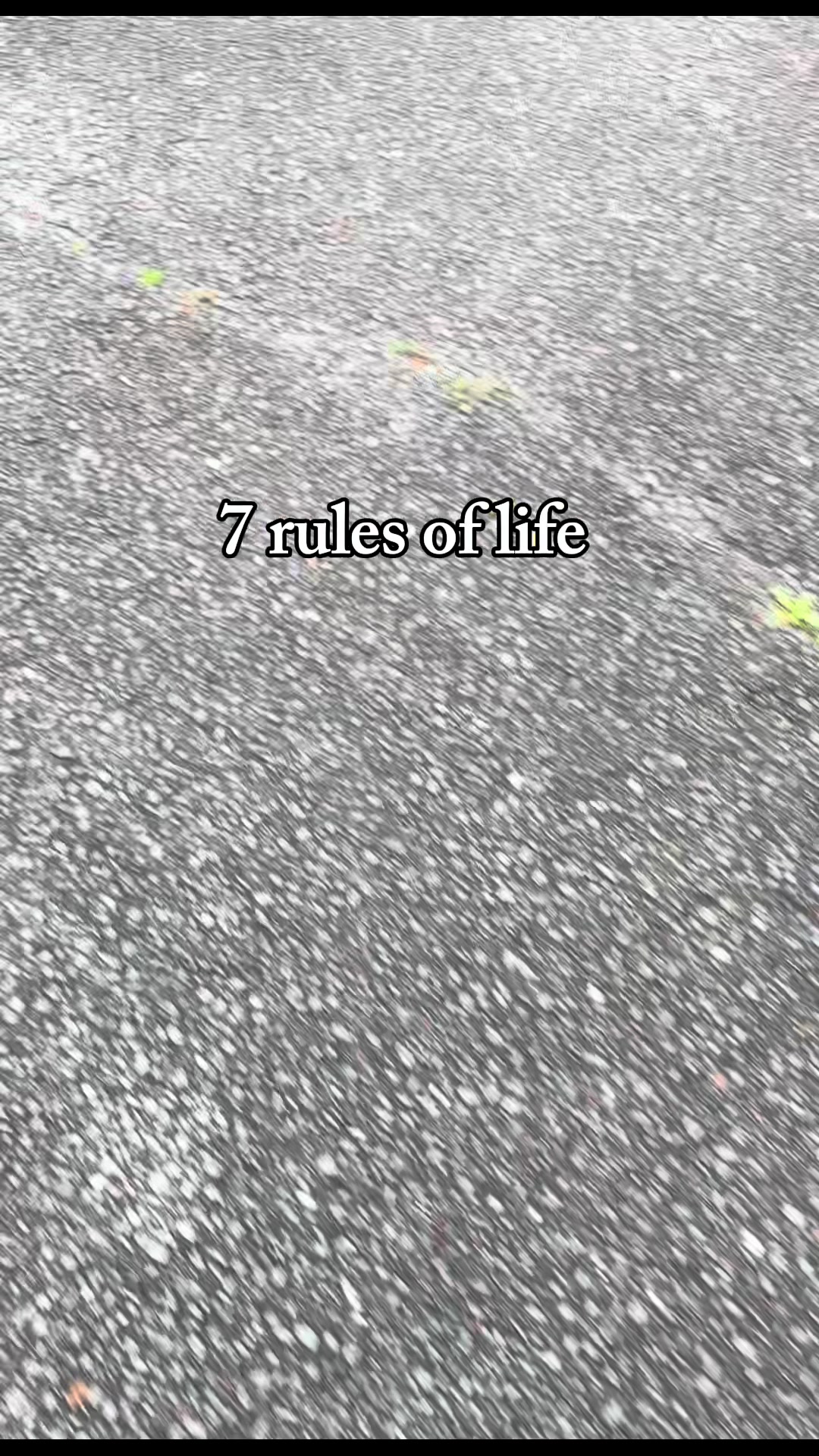 @mosestimmins