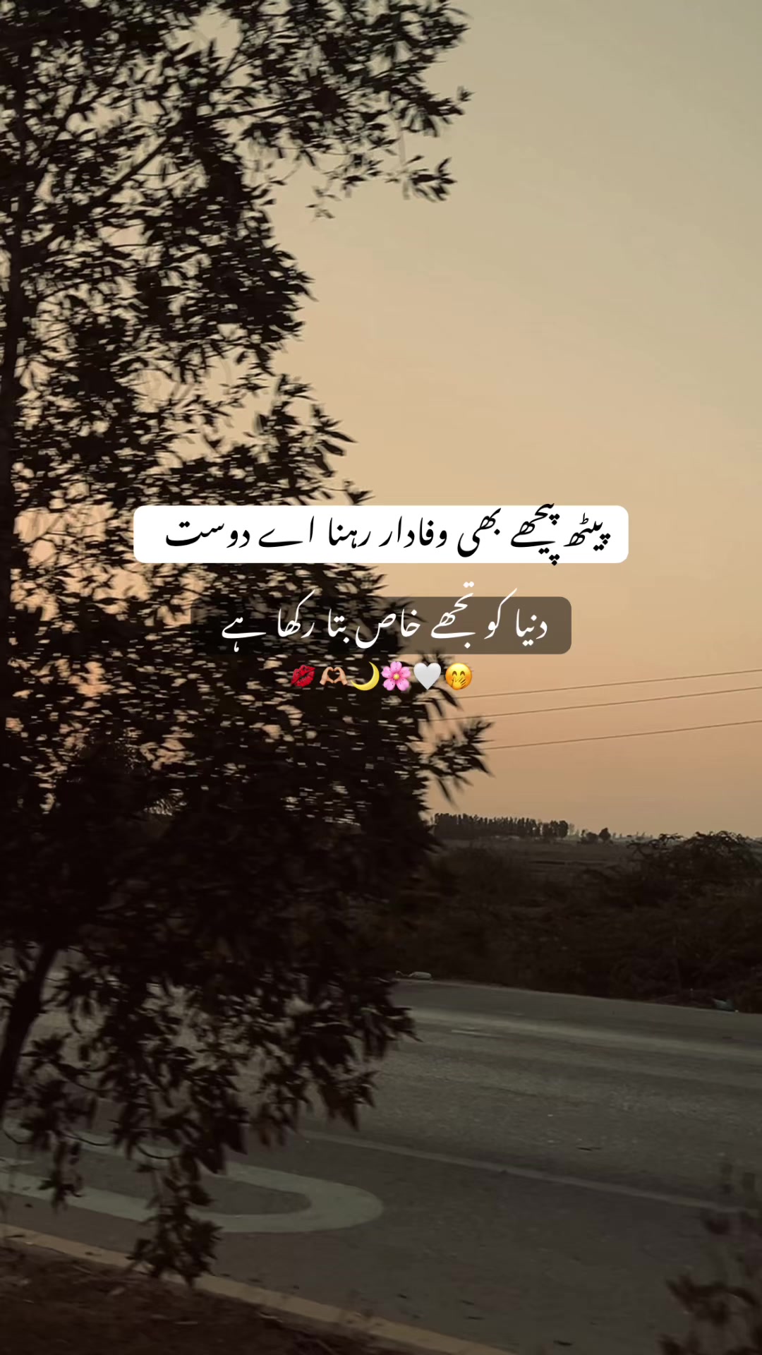 @𝘏 𝘈 𝘕 𝘡 𝘈 𝘓 𝘈 🐼 ✓