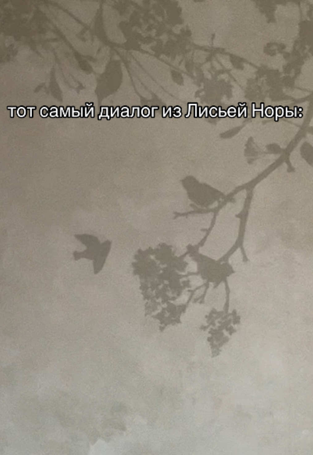 @амайа@