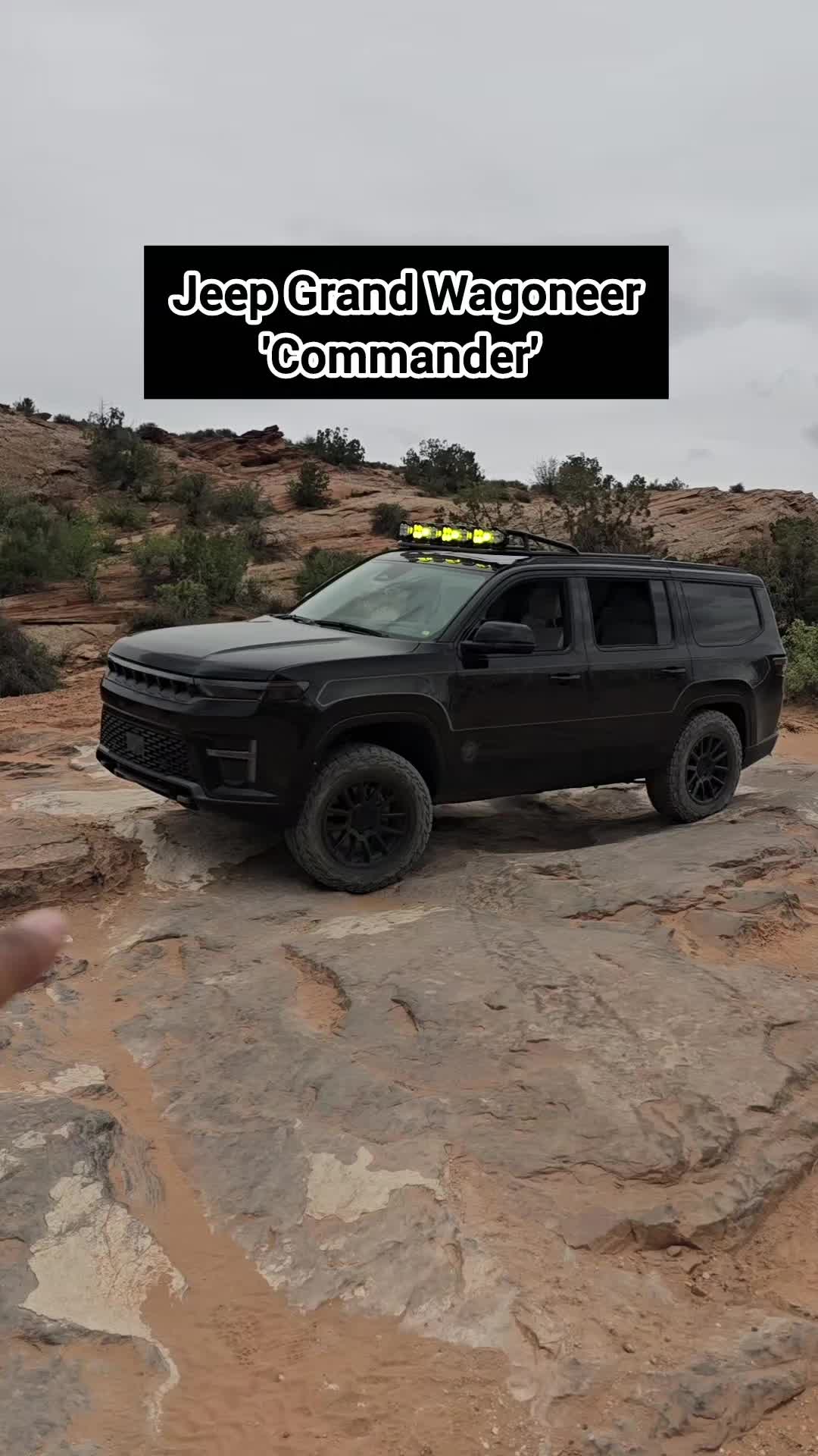 @Americanmusclehd