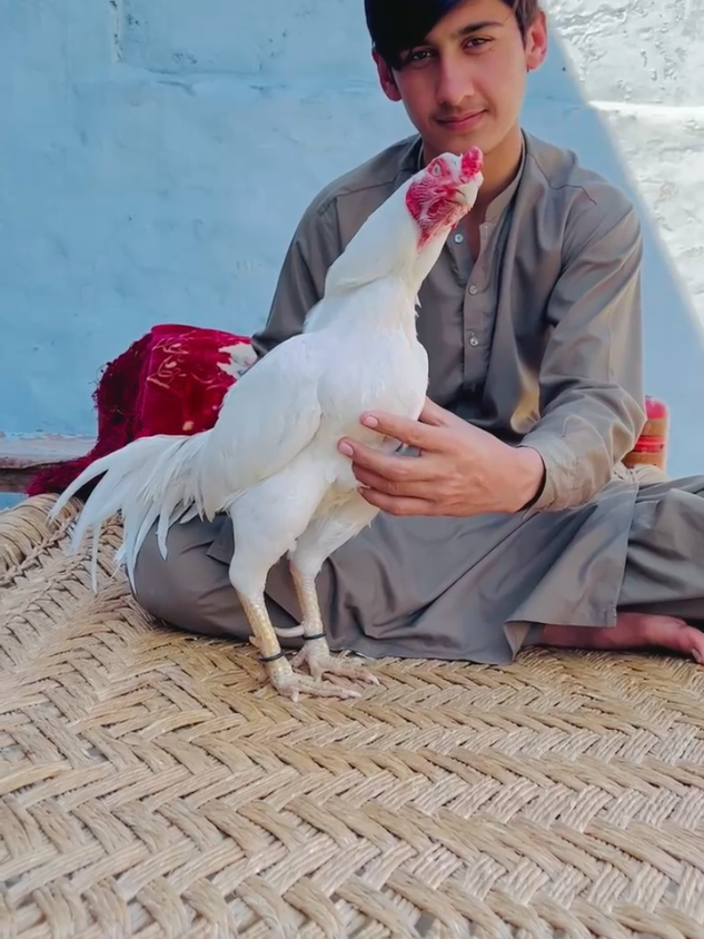 @دانش خان نیازی🌙