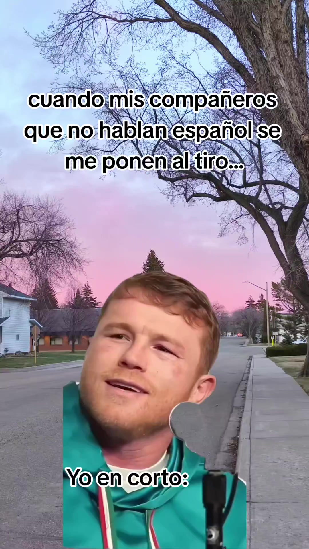 @incaparina_no.1