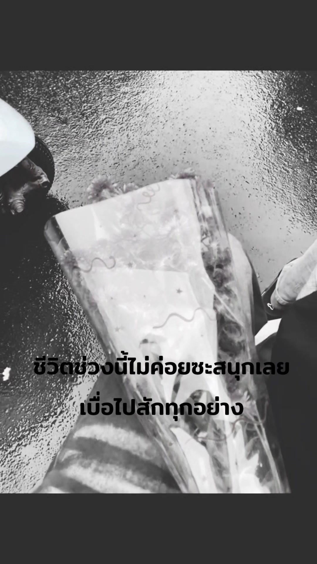 @อ๊า เมย์ ย