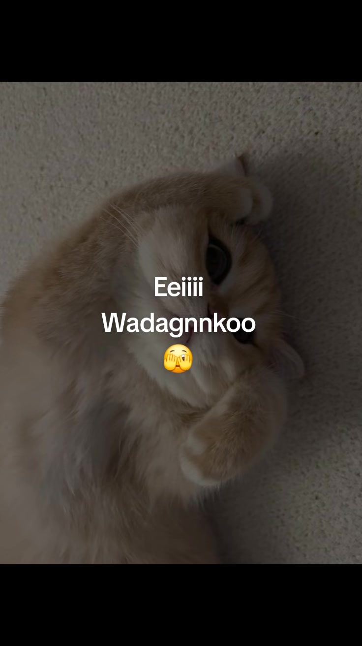 @_vo__na_