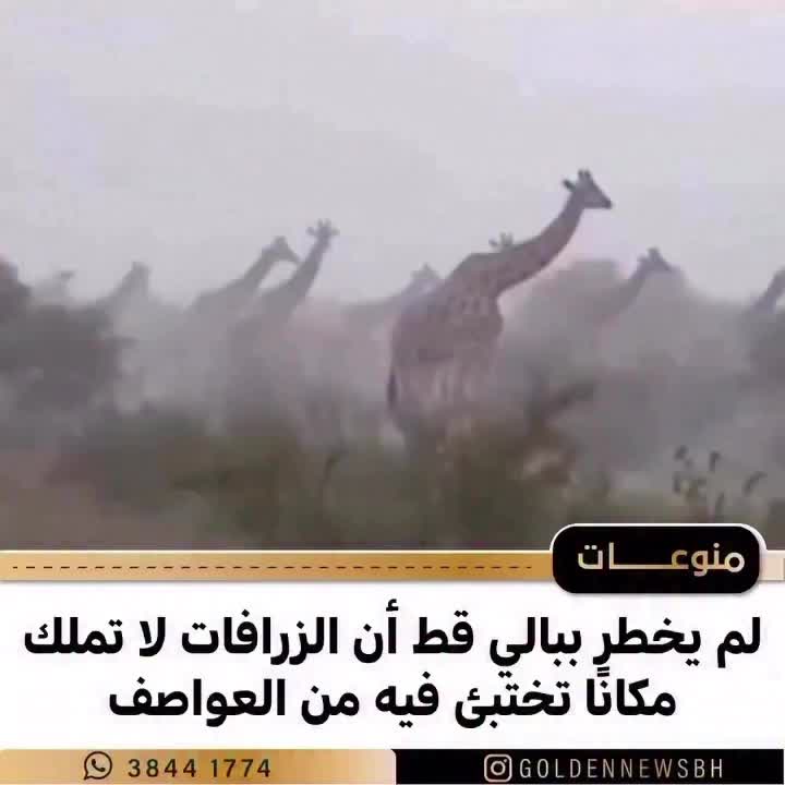 @غدران البلوشي