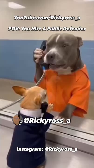 @Rickyross_a
