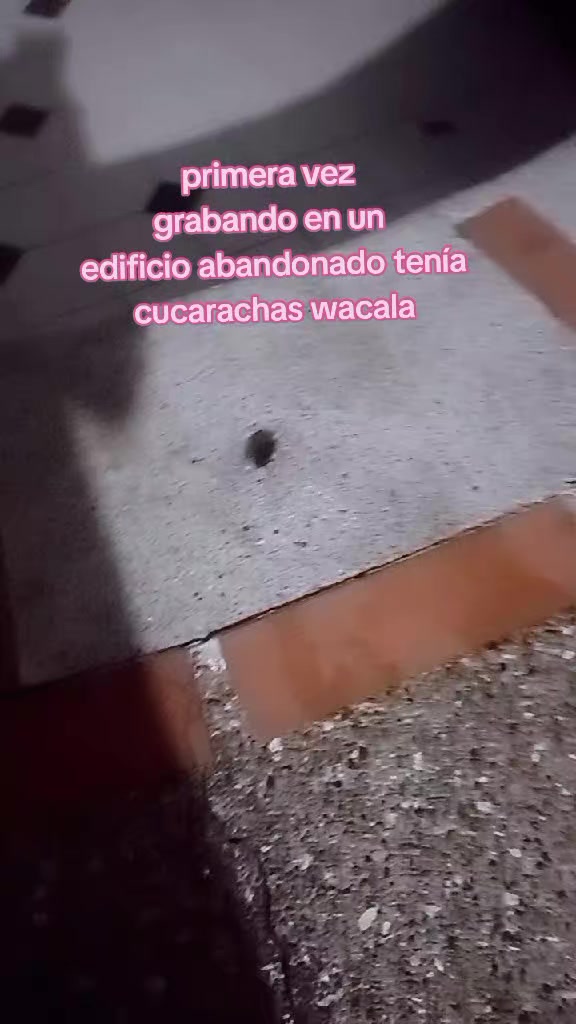@tú_michi_1