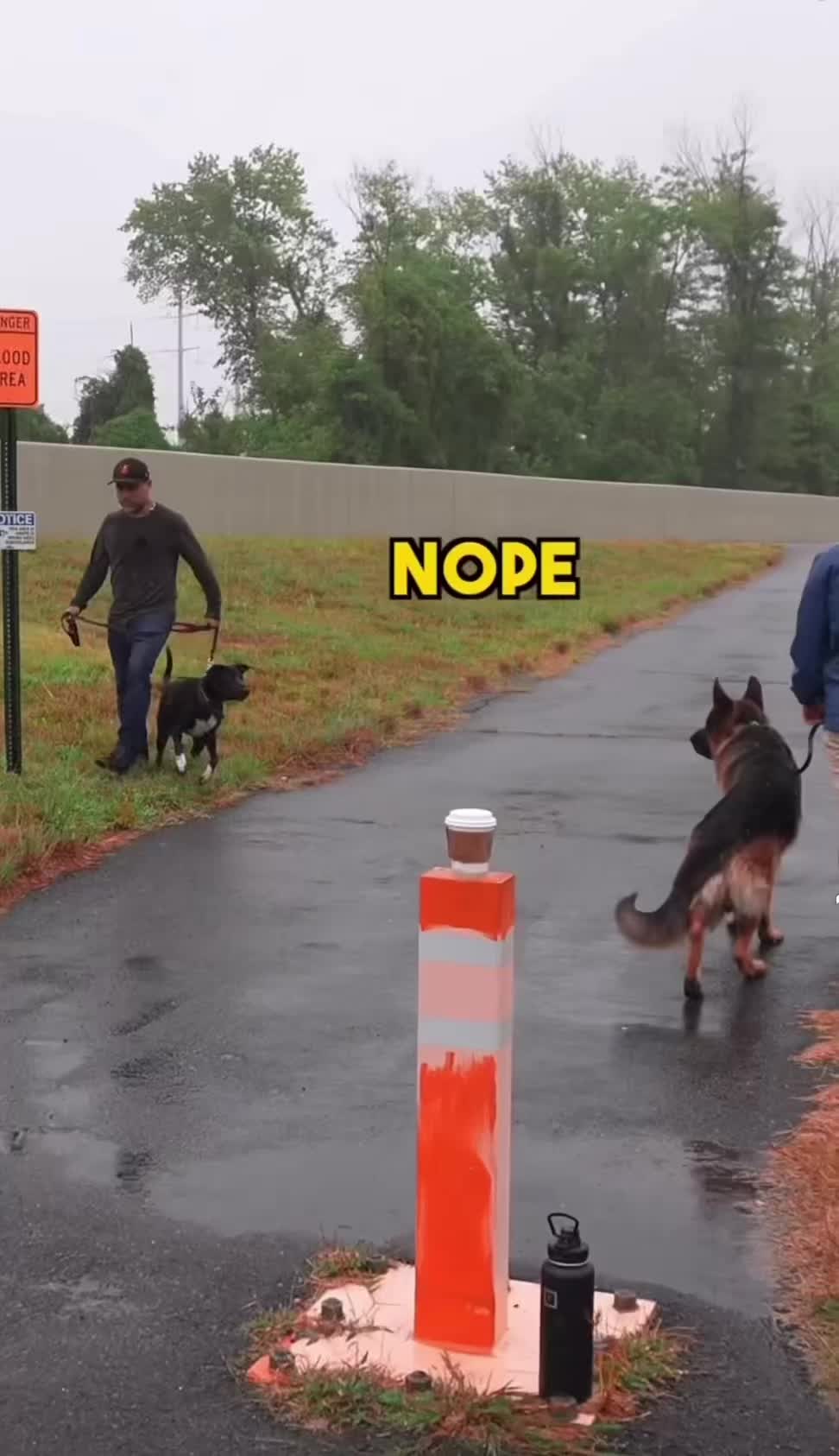 @k9fieldguide