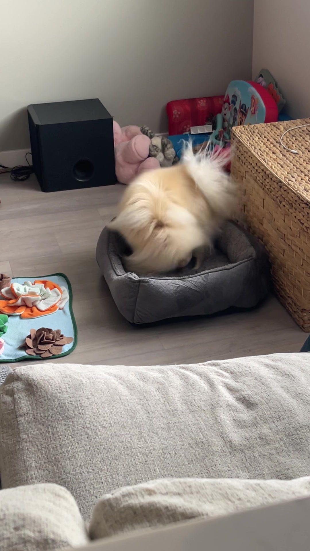 @beingmilothepom