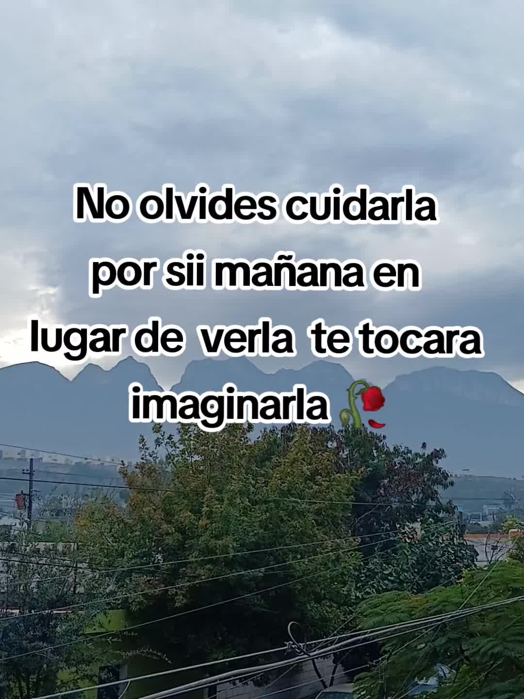 @luz Garcia