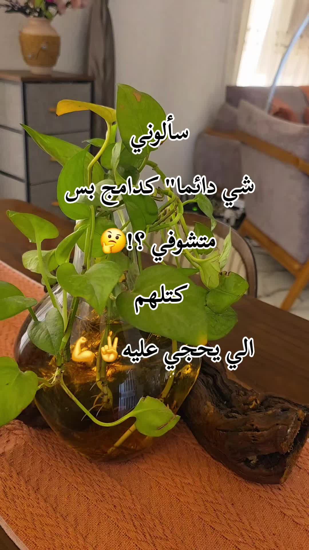 @꧁★تـٌـٌٌـوُحـًـًًـًًًـًًـًـه★꧂