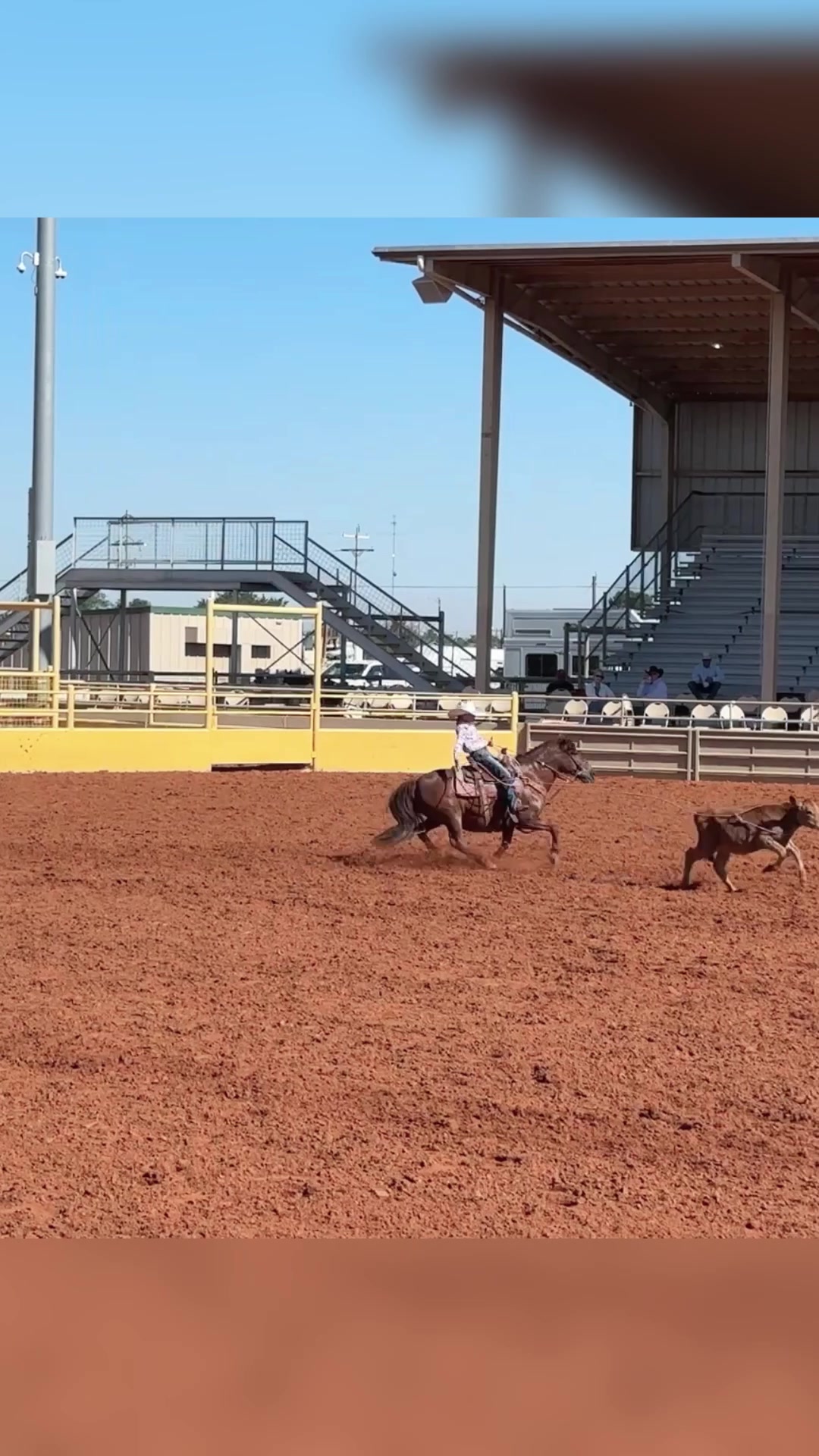@Cactus Ropes