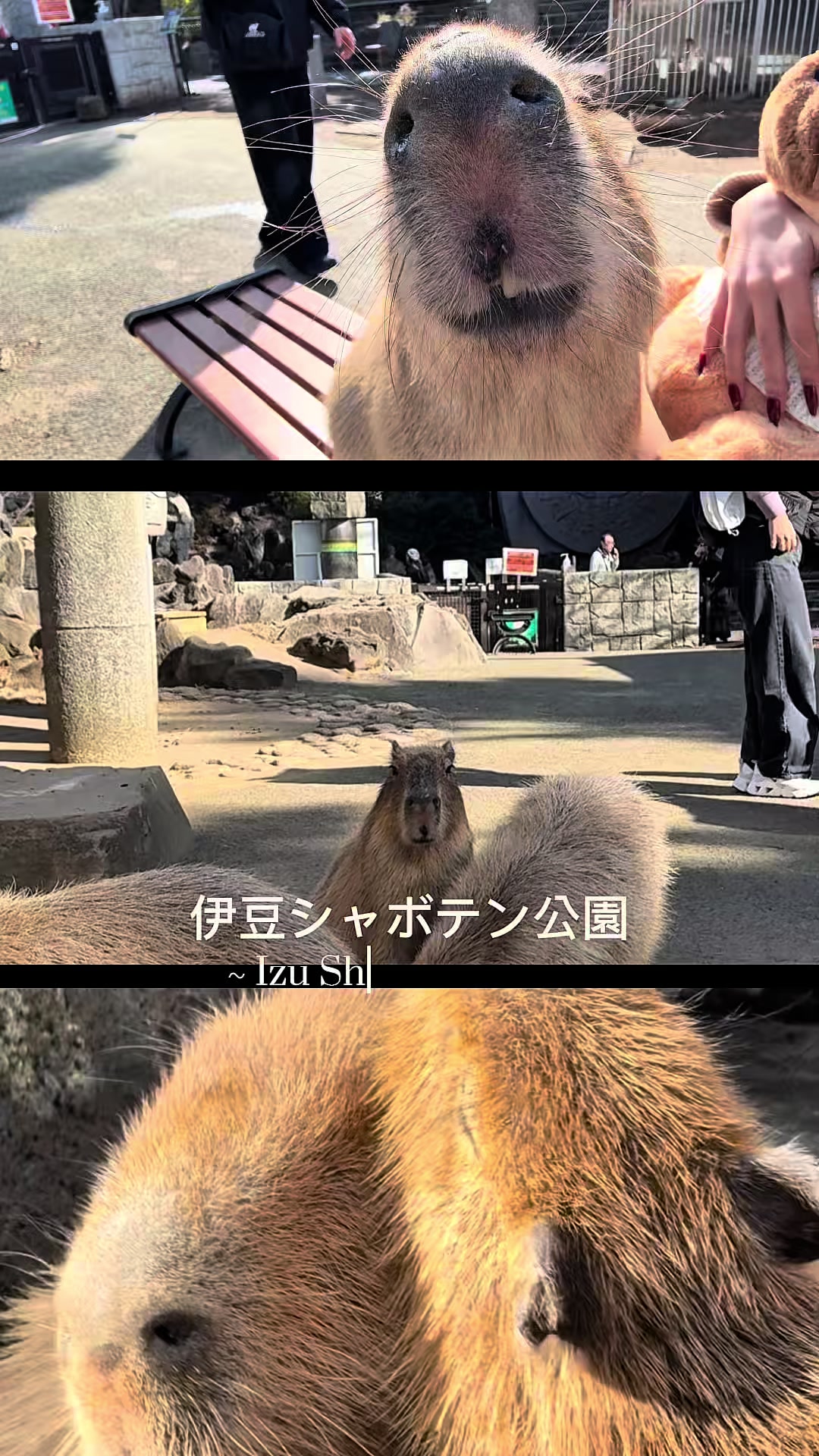 @🤎カピカピ🤎