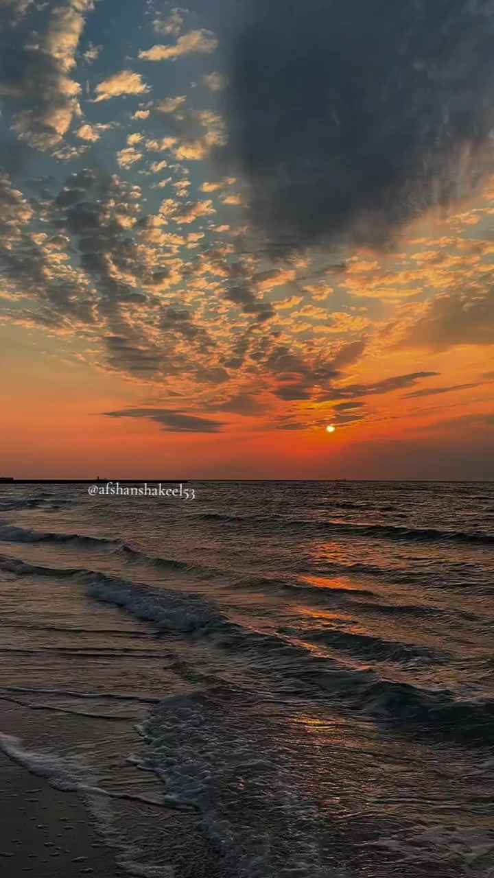 @afshanshakeel53
