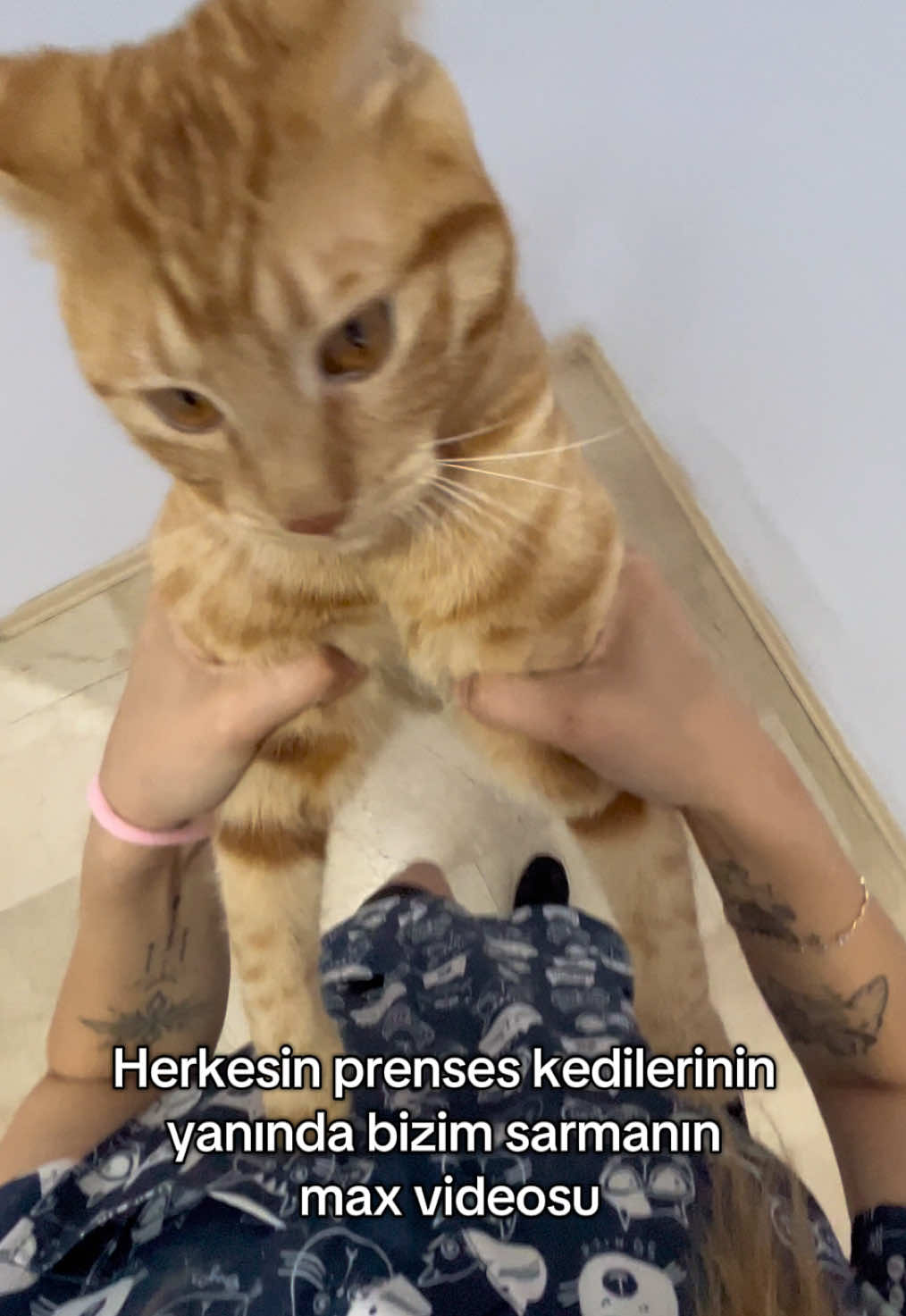 @Beyza🐾