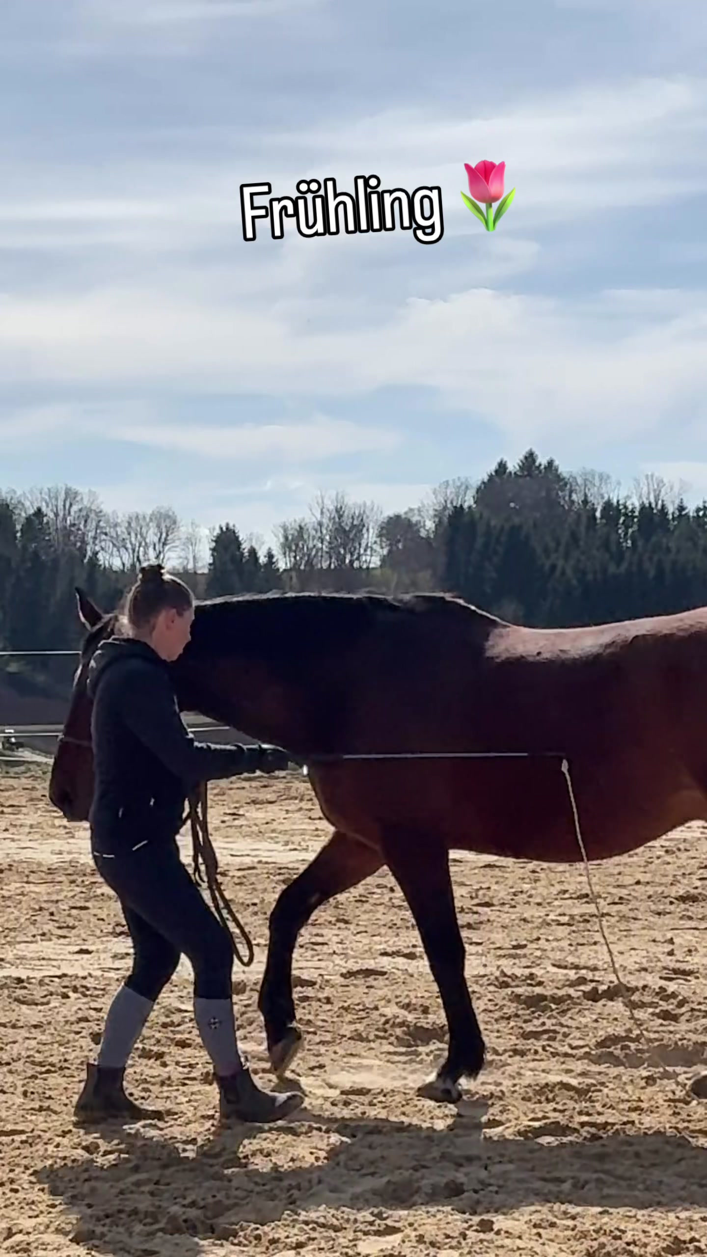 @equine_body_in_balance