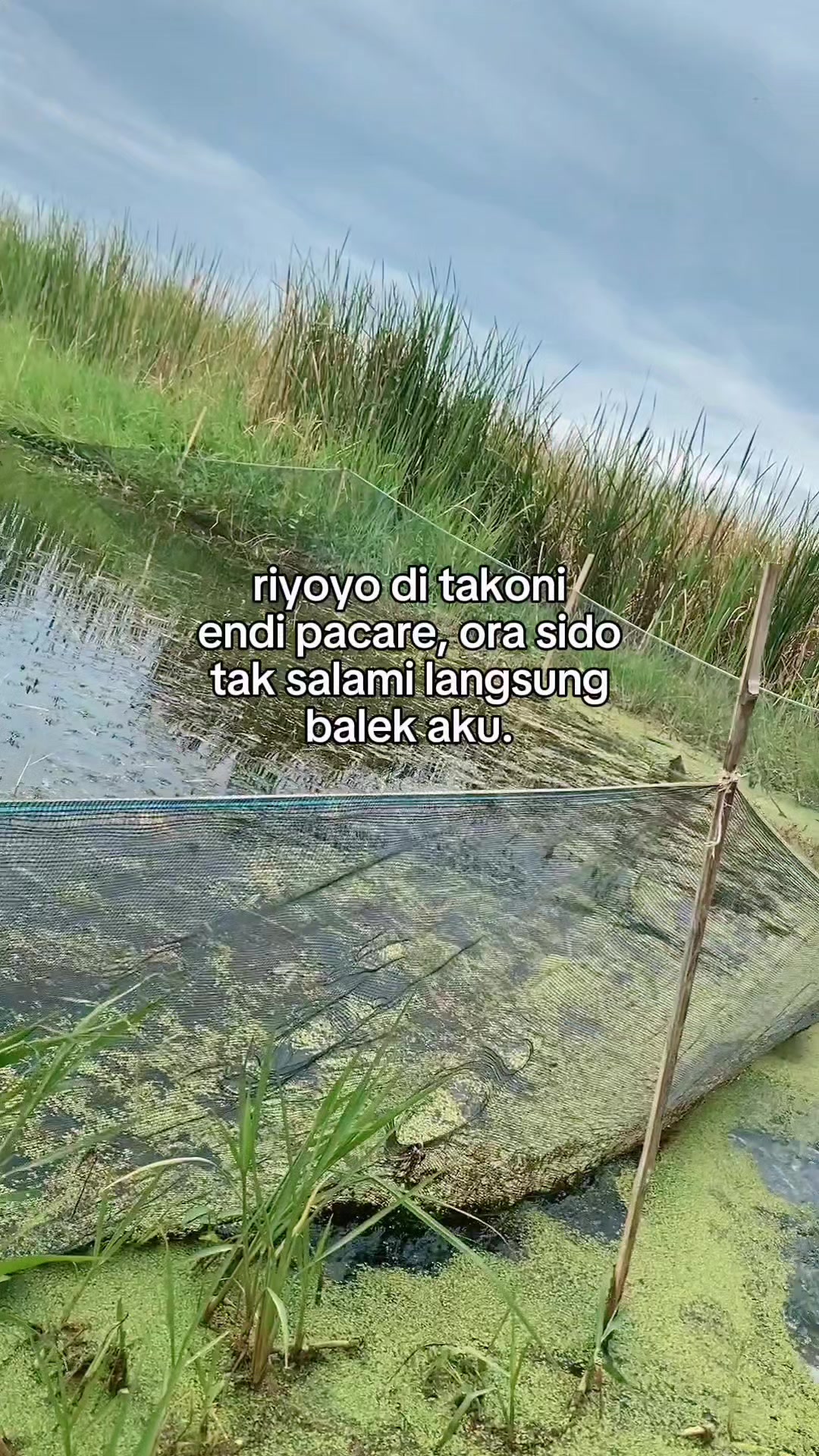 @MASIMI