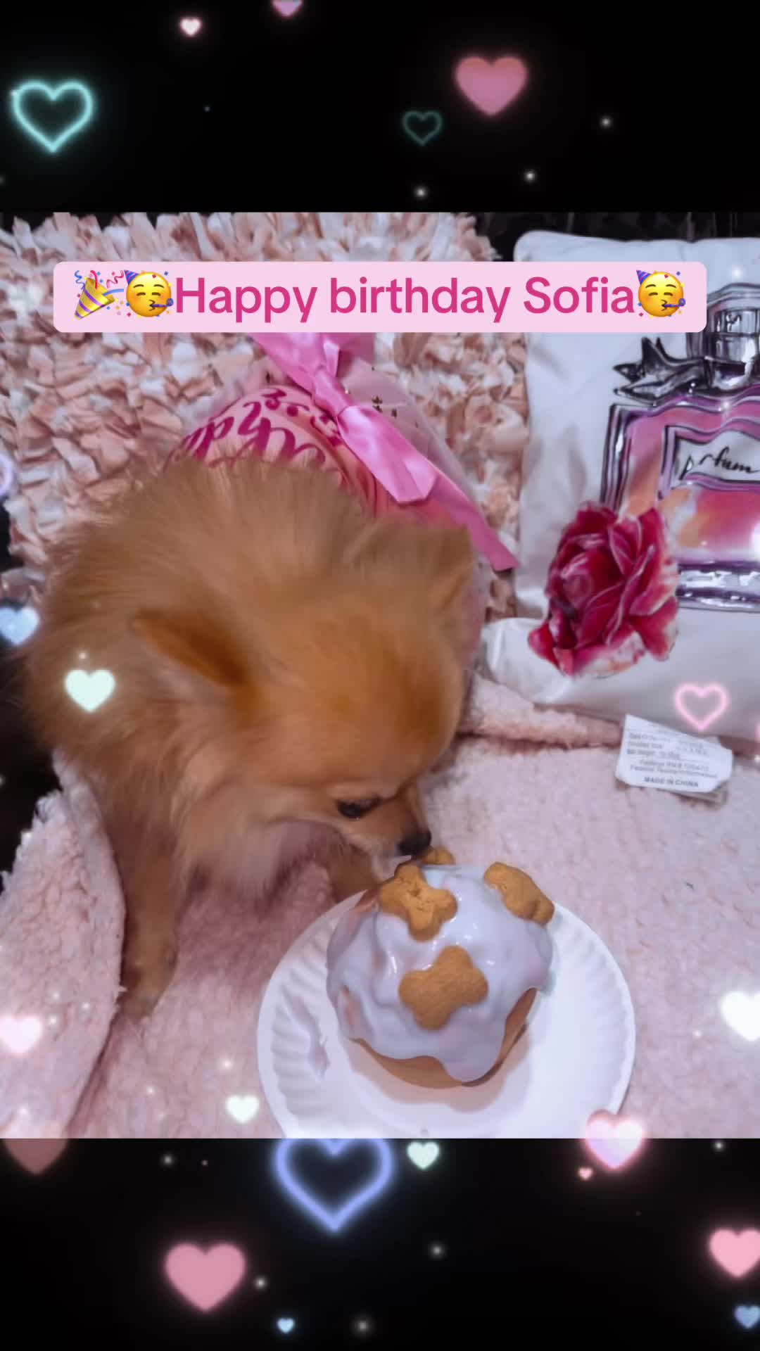 @sophialove093