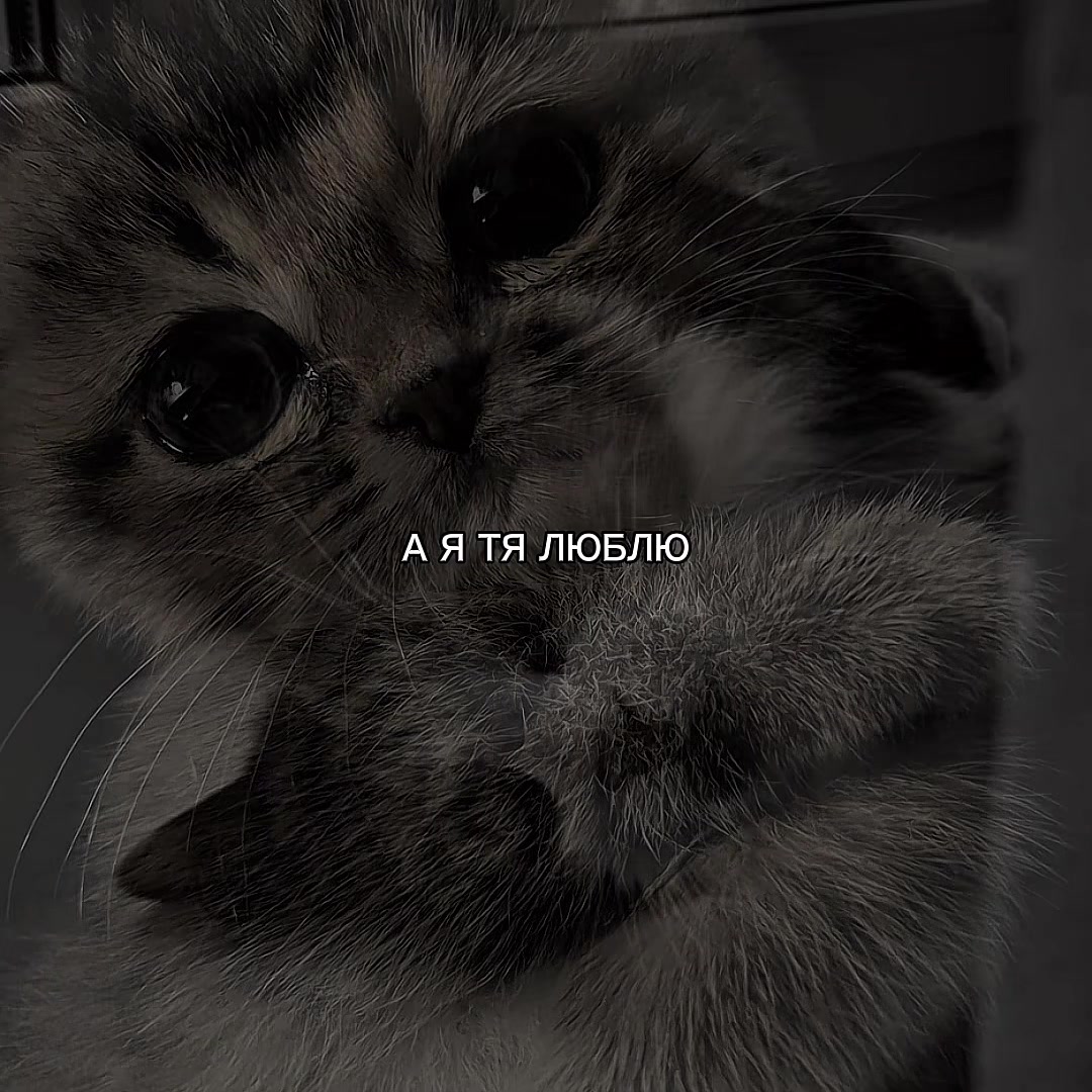 @ХХИКА