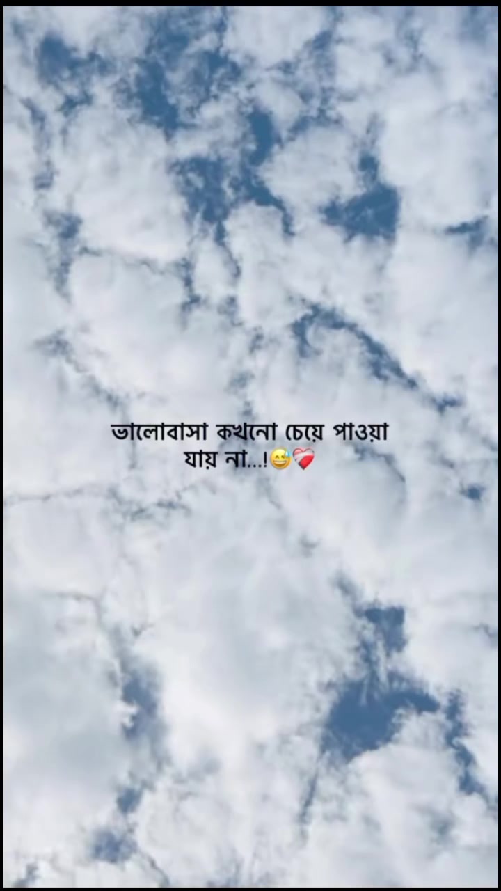 @💫🥀 ⊶N⊶O⊶Y⊶O⊶N⊶🥀💫
