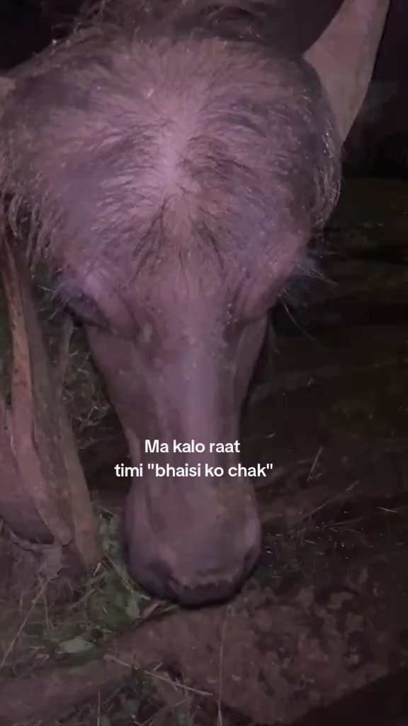 @राकेश