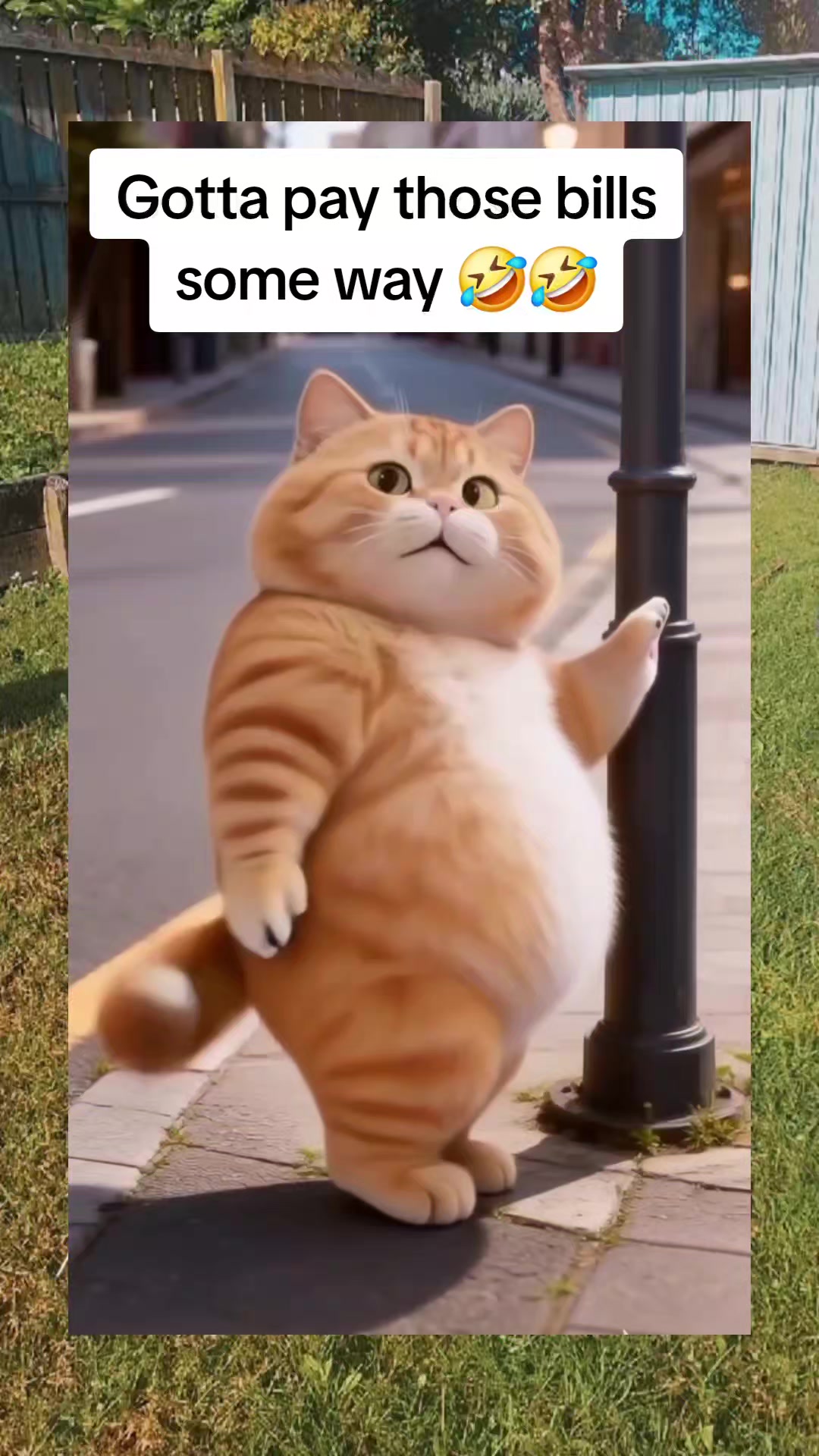 @Adi💋🐬🐇🍑🌞🌻🌲🧃🦊👅🦅🐈&zwj;⬛️